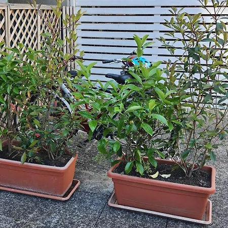 Residenza La Gazza Διαμέρισμα