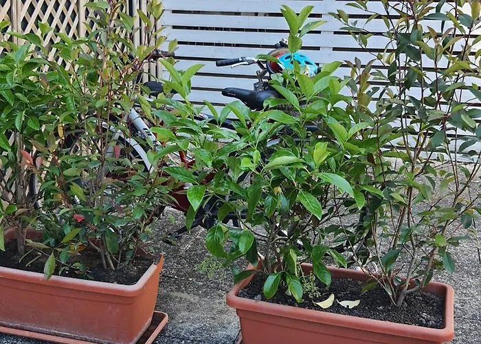 Residenza La Gazza 公寓